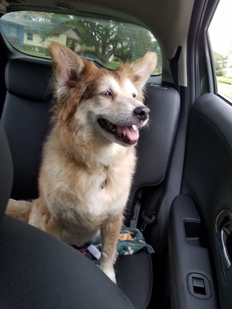 Hayley riding in the car