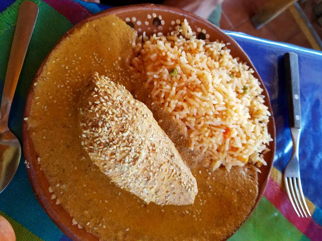 Mole Almendrado (Mexican Almond Based Mole Sauce) with Chicken