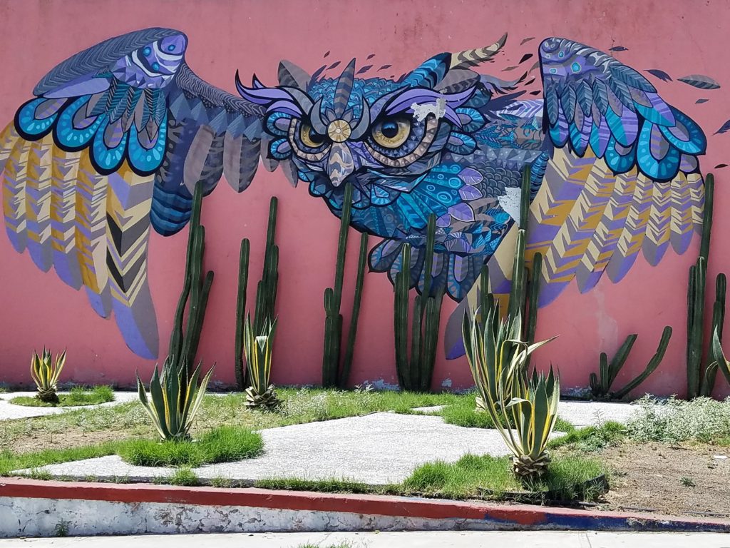 Street art of an owl in Queretaro, Mexico