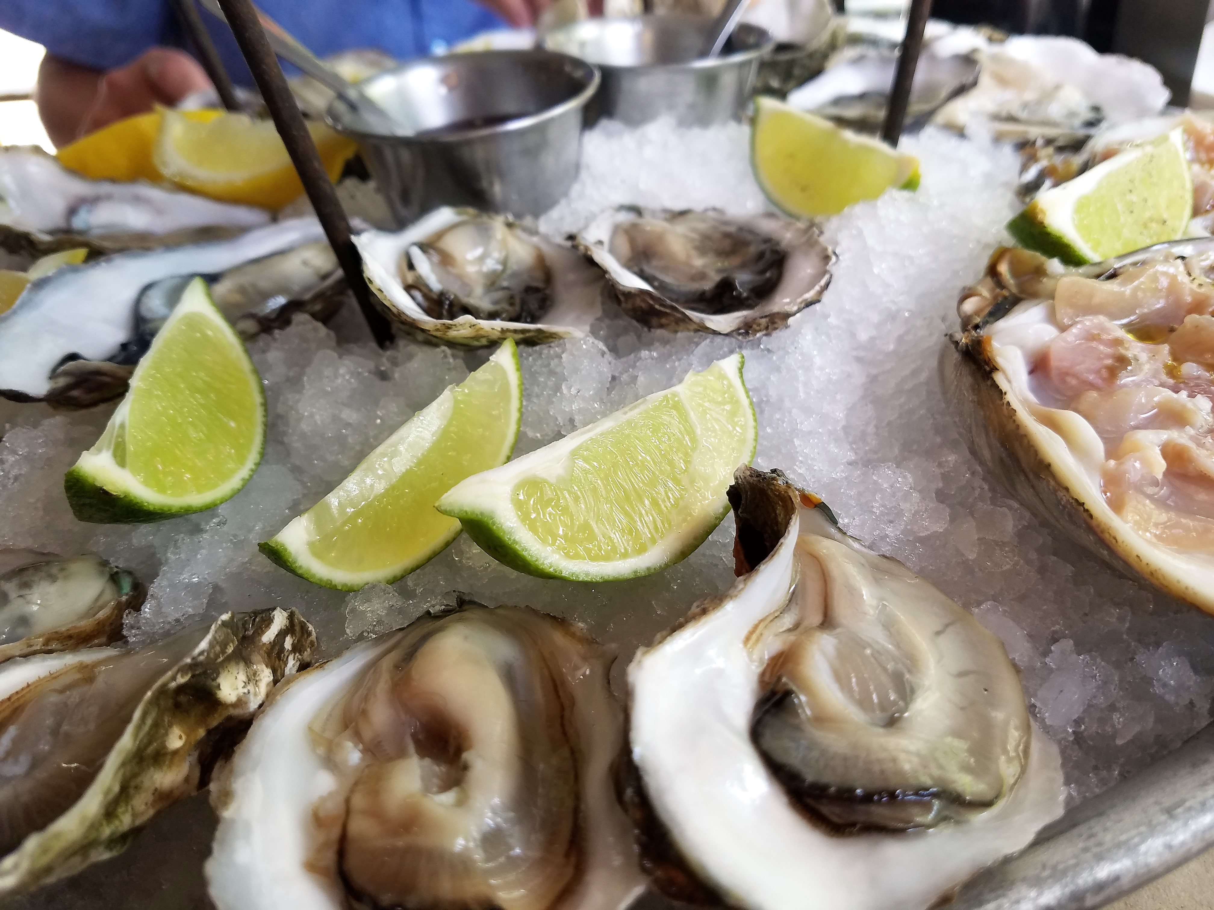 oysters at La Docena, Guadalajara, Mexico