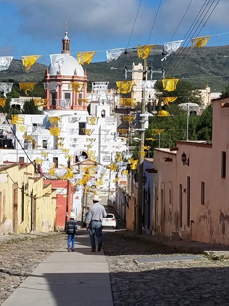 Mineral de Pozos: Ghost Town Revival Among Lavender Farms