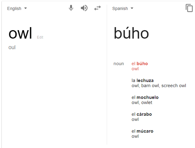 Google translate for "owl". 5 variations