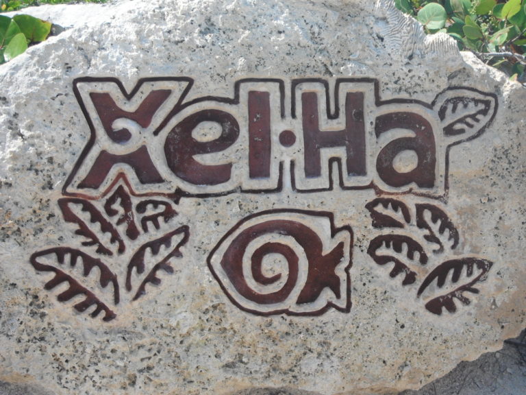 Why Should You Visit Xel-Ha in Mexico?