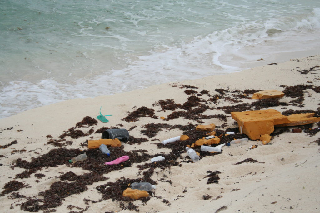 Trash on the beach in Cozumel, Mexico