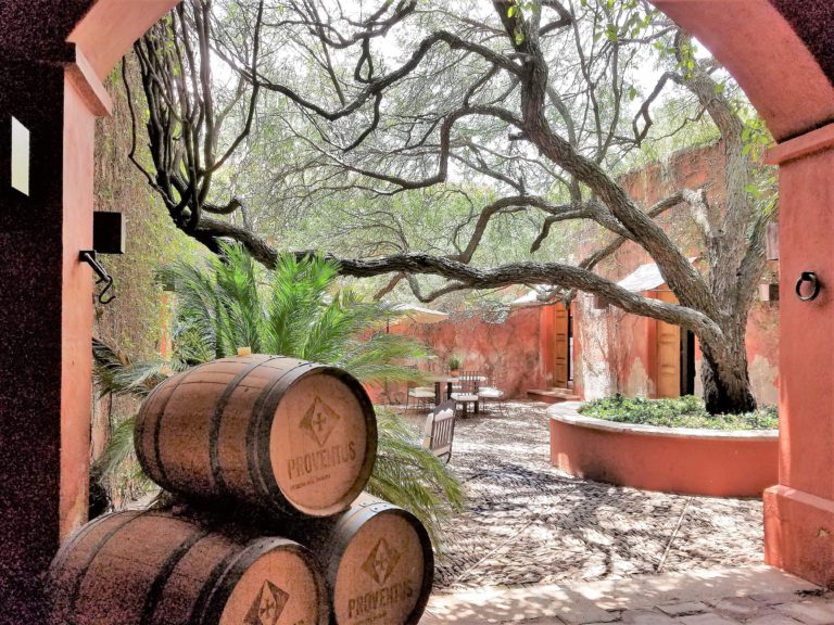 Queretaro Winery: Puerta del Lobo