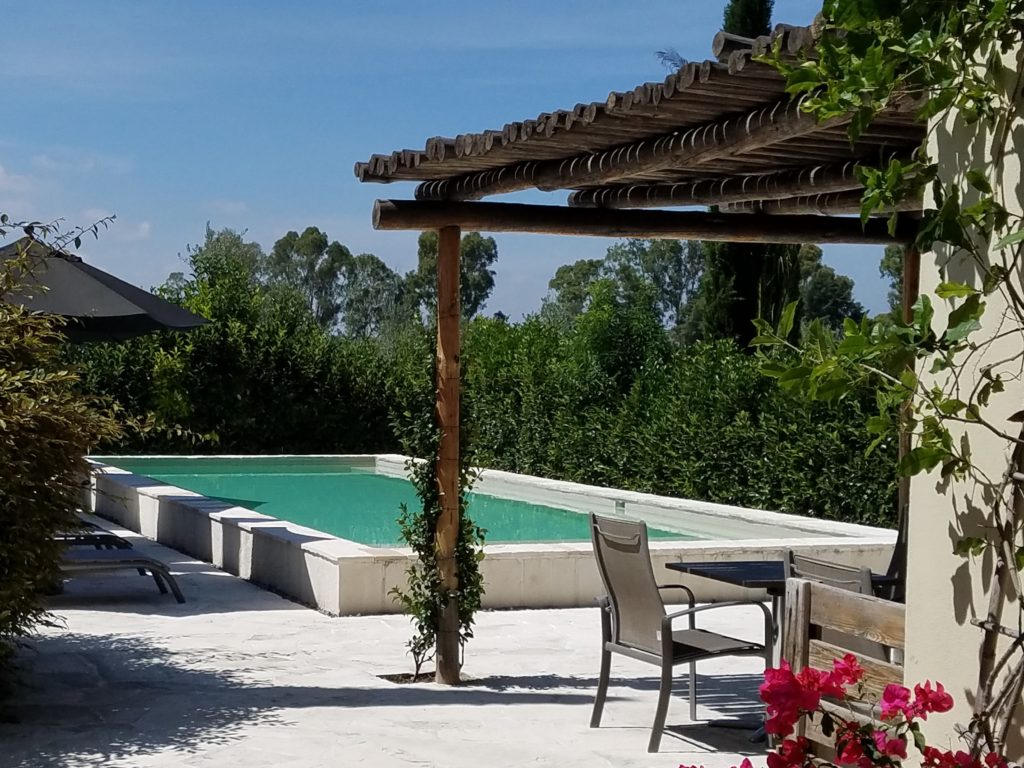 The Pool at La Santisma Trinidad Winery, Mexico