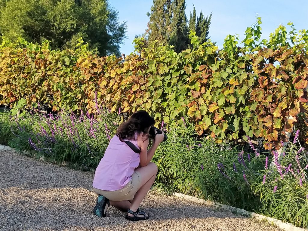 Tiffany taking pictures at Lavendar La Santisma Trinidad Winery, Mexico