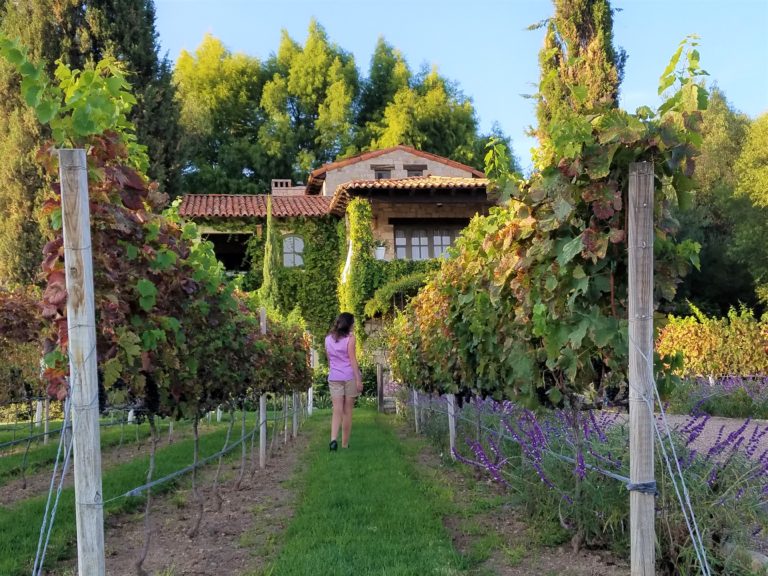 Romantic Getaway at La Santisima Trinidad Winery