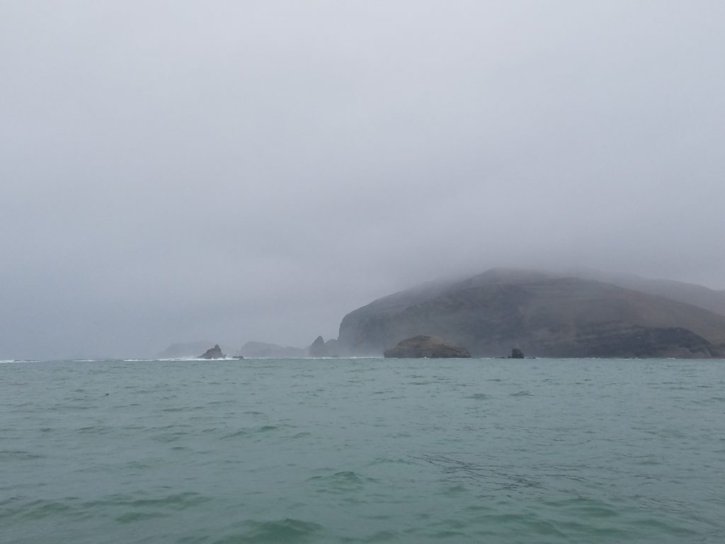 Foggy day heading out to Palomino Island, Peru