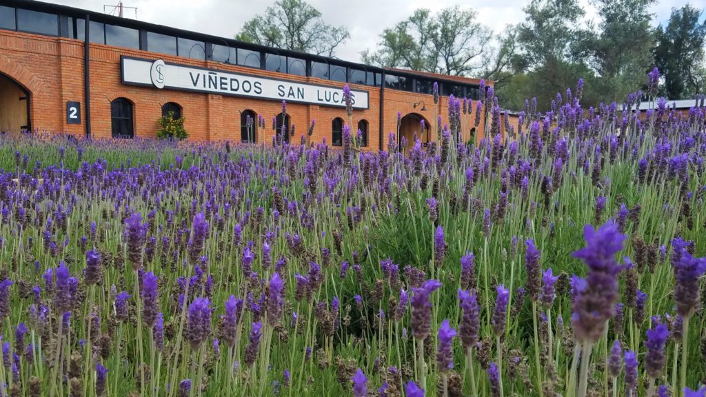 San Lucas Winery near San Miguel de Allende, Mexico