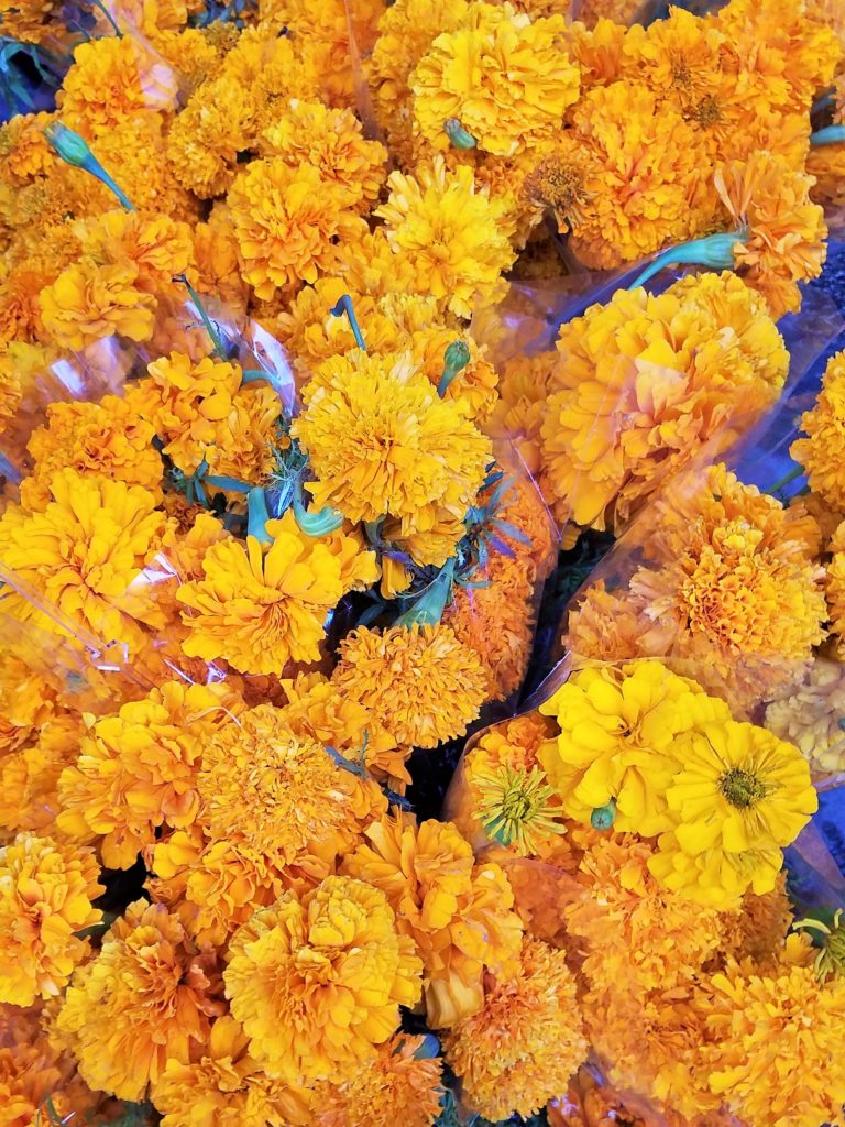Cempasúchil flowers, also known as Aztec marigolds