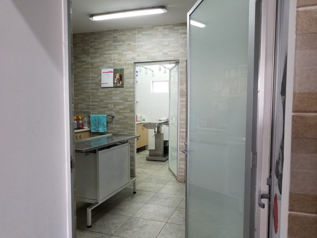 Veterinarian examination room.