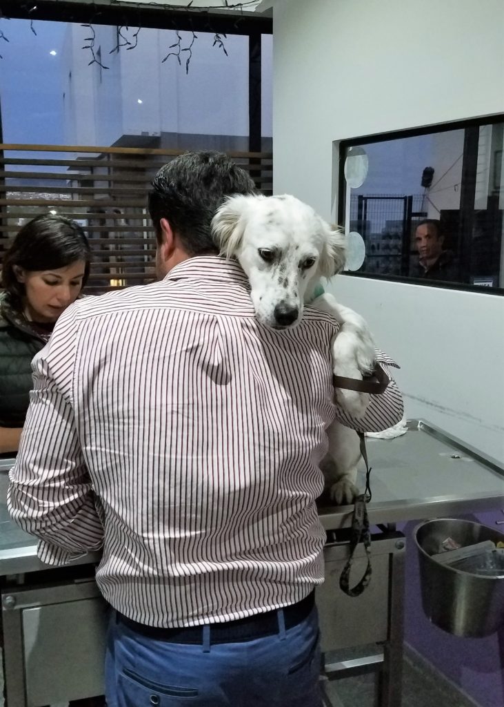 Muna hugging her daddy at the vet office Muna hugging her daddy at the vet office