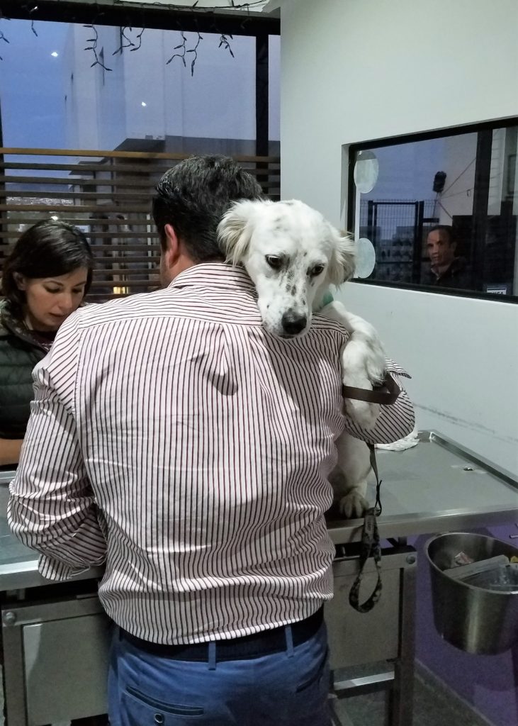 Muna hugging her daddy at the vet office