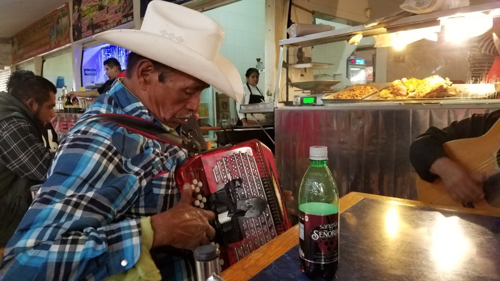Mexican cowboy playing the accordion in Santa Rosa Jauregui