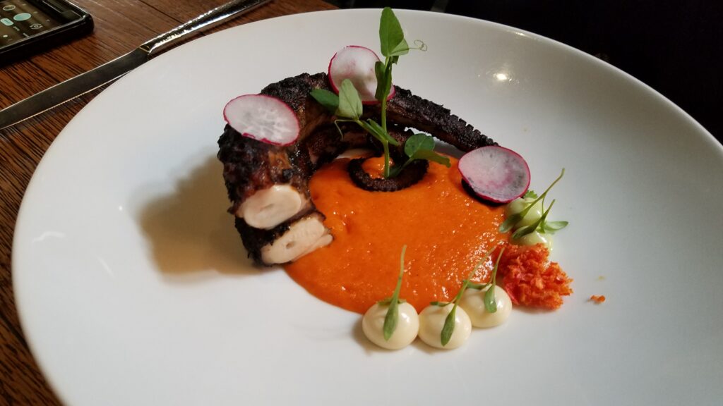 Octopus at Sud 777, Mexico City