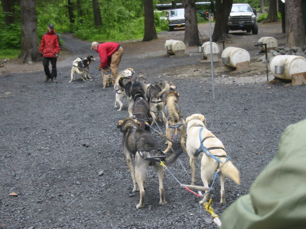 Ididaride Sled Dog Tours, Seward, Alaska