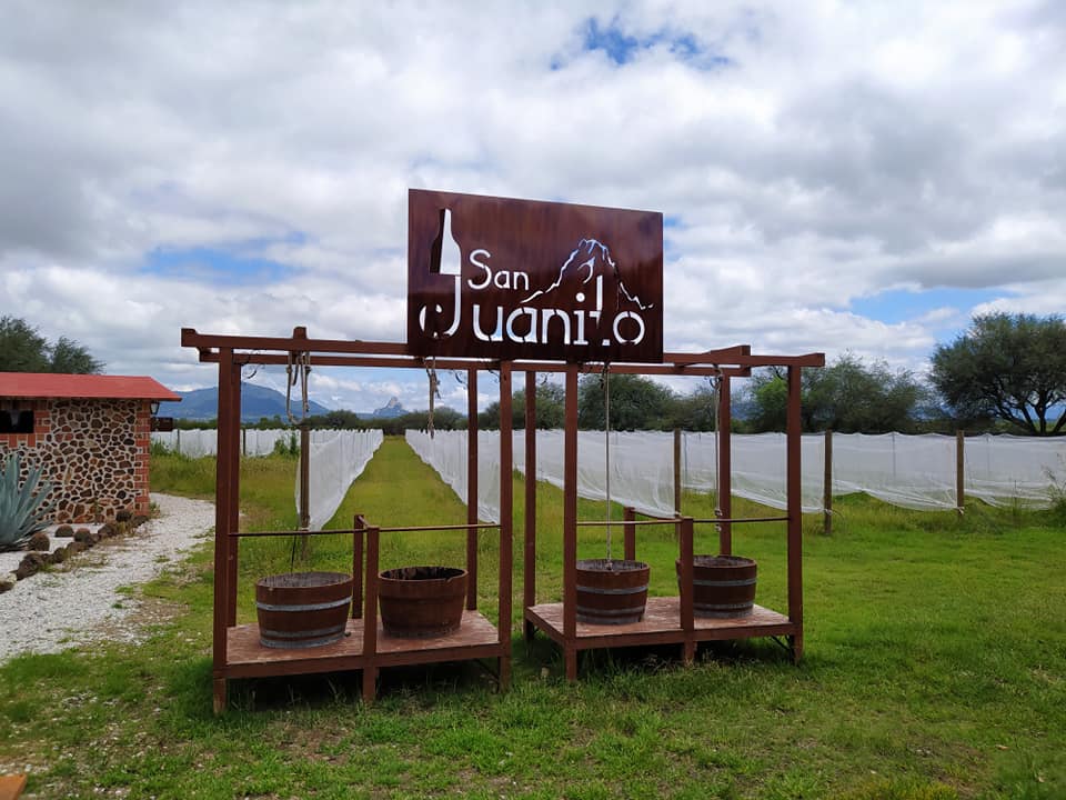 San Juanito Winery, Queretaro, Mexico