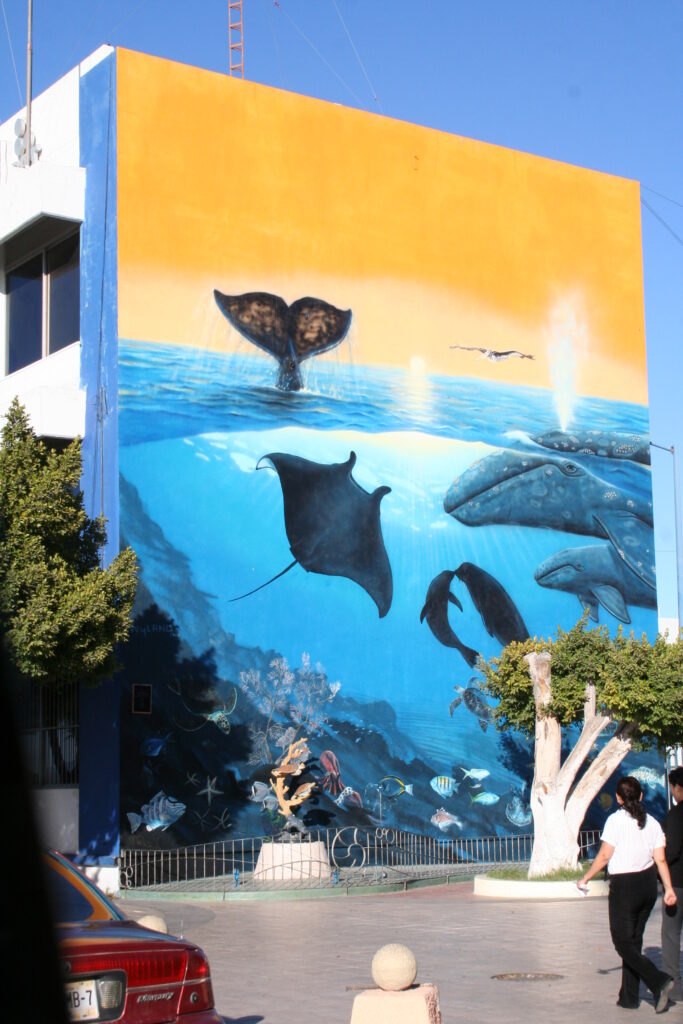 Whale Wall by Wyland in La Paz, California Whale Wall by Wyland in La Paz, California