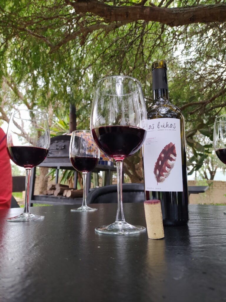 Bottle of Cab Franc at Dos Buhos, San Miguel de Allende, Mexico