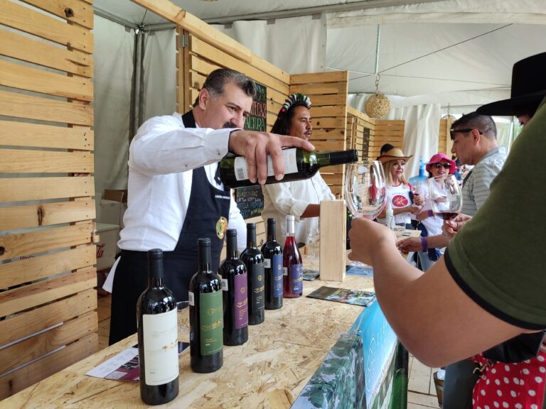 Wine Festival Guide of Central Mexico