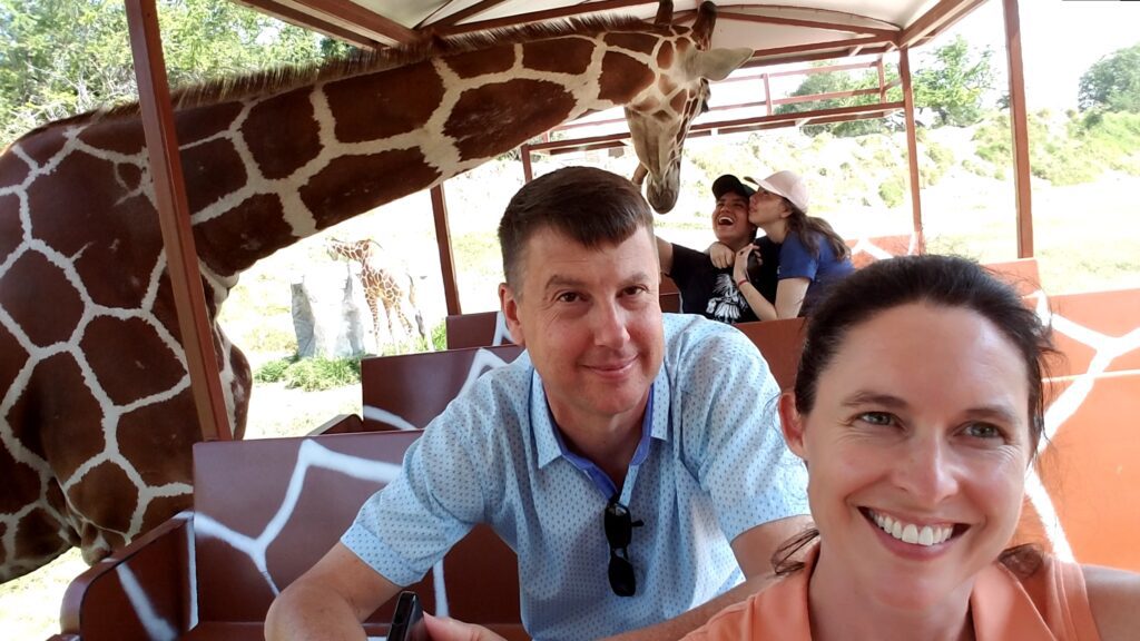 Giraffe at the Guadalajara Zoo