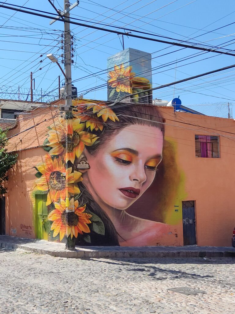 Street art in San Miguel de Allende, Mexico