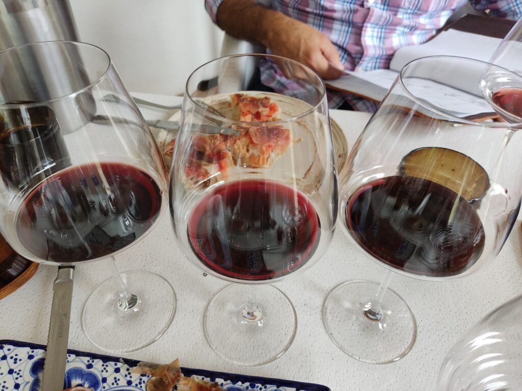 San Miguel wine tour with Heart of Mexico Wine Tours